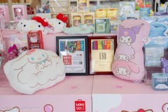 SWMD-2024-MINISO-RC-5