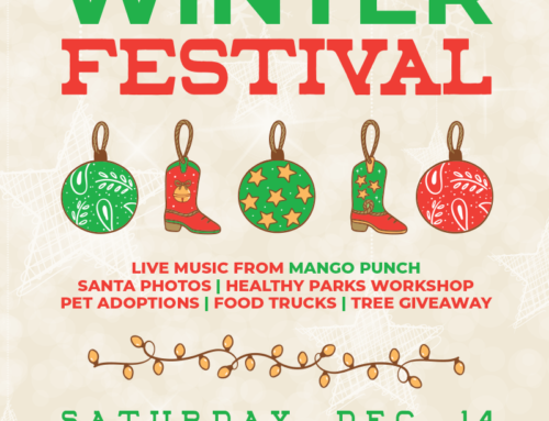 Precinct 4: Winter Festival, Dec. 14